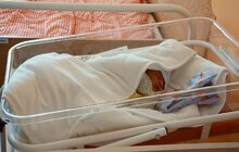 Фото 28: У Міському пологовому будинку №1 оновили обладнання на 2,7 млн. грн.