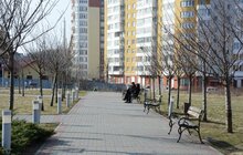 Фото 6: На Сихові висаджують 20 нових дерев, план міста на цей рік — не менше 10 тис зелених насаджень