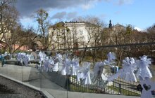 Фото 28: Сотні львів’ян долучились до тихої акції «Ангели пам’яті»