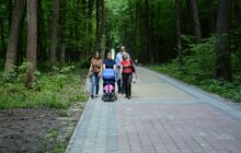 Фото 7: На Сихові розпочали роботи з облаштування парку духовної культури