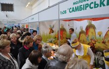 Фото 23: Тролейбус, який презентують на «Львівському товаровиробнику», вже наступного тижня передадуть місту