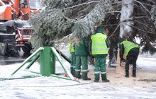 Фото 5: На площі перед Оперним театром встановили головну ялинку міста