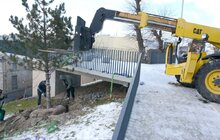 Фото 2: На Меморіалі пам’яті Героїв Небесної Сотні висадили сосни