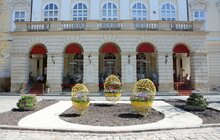 Фото 6: У районах Львова продовжують висаджувати квіткові композиції