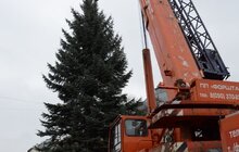 Фото 20: У Львові встановили головну новорічну ялинку: за тиждень її урочисто відкриють