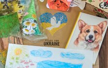 Фото 5: Громадська організація зі США передала дітям наплічники, канцелярське приладдя та книги