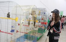 Фото 20: У Палаці мистецтв стартував Дитячий Форум