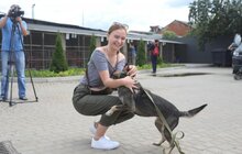 Фото 7: У Львові відомі спортсмени допомагали безпритульним тваринам