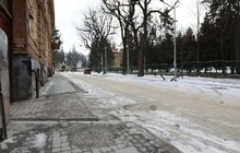 Фото 2: На вул. Пекарській тривають масштабні ремонтні роботи: повністю реконструкцію вулиці планують завершити до 1 вересня
