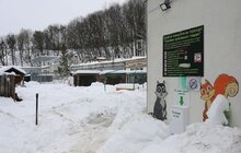 Фото 42: У мерії розглядають можливості комплексного розвитку парку «Знесіння» і Домівки врятованих тварин