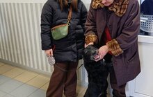 Фото 14: Понад 20 тварин із ЛКП «Лев» знайшли дім у лютому