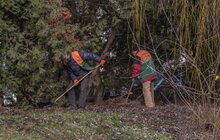 Фото 3: В лікарні швидкої допомоги організували толоку