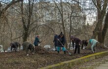 Фото 6: В лікарні швидкої допомоги організували толоку