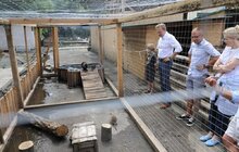 Фото 17: «Ми хочемо збудувати ще один еколого-натуралістичний центр в частині Снопківського парку», — А. Садовий