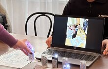 Фото 4: Котівничка з зеленим дахом та висадка дерев: як у Львові минув Тиждень сталої енергії (відео)