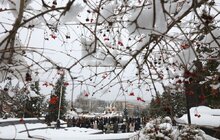 Фото 7: У День Збройних Сил України у Львові вшанували пам’ять полеглих Героїв