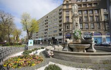 Фото 13: У Львові висаджують квіткові композиції