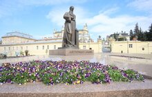 Фото 19: У Львові висаджують квіткові композиції