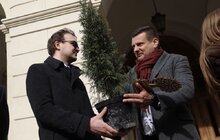 Фото 2: В рамках міжнародного проєкту «Озеленення планети» на площі Соборній висадили перші дерева