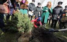 Фото 24: В рамках міжнародного проєкту «Озеленення планети» на площі Соборній висадили перші дерева