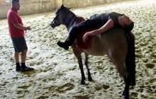 Фото 7: 10 осіб з особливими потребами пройшли курс «іпотерапії»