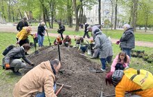 Фото 7: У Львові висадили вже четвертий дощовий садок: тепер така локація є у парку Івана Франка (відео)