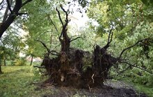 Фото 23: Аварійні бригади оперативно ліквідовують наслідки негоди в місті