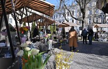 Фото 2: Мерія впорядкувала стихійну торгівлю квітами, облаштувавши сучасні дерев’яні ятки у центрі Львова (фото/відео)