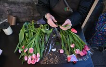 Фото 10: Мерія впорядкувала стихійну торгівлю квітами, облаштувавши сучасні дерев’яні ятки у центрі Львова (фото/відео)