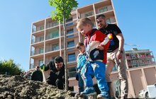 Фото 4: Мешканці соціального житла на вул. Миколайчука разом озеленили свій простір (відео)