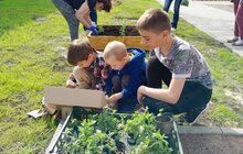 Фото 18: У Львові мешканці модульного містечка висадили грядки