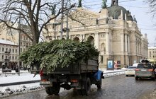 Фото 5: Головну ялинку міста розібрали (відео)