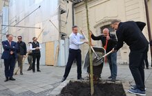 Фото 5: Девід Камерон у Львові залишив запис у Книзі почесних гостей та висадив дерево