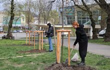 Фото 1: У сквері біля цирку висадили алею пам’яті загиблих героїв