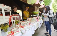 Фото 6: У Львові відбувається Ярмарок молодіжного підприємництва