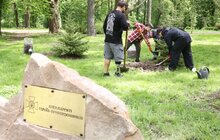 Фото 10: У Стрийському парку висадили 35 дерев у пам’ять про прикордонників, які віддали своє життя боротьбі за незалежність України