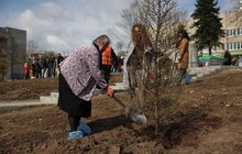 Фото 9: Біля корпусу реабілітації НЕЗЛАМНІ ростимуть дерева трьох міністерств та Червоного Хреста