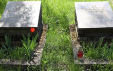 Фото 10: У Львові розпочали ексгумацію радянських поховань із Пагорба Слави (відео)