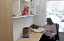 Фото 24: У Львові відкрили унікальний простір для підлітків – будинок «Спільнота-Рідні» (відео)