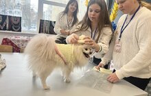 Фото 32: Бізнес зі шкільної парти: як учні у Львові запускають власний бізнес (відео)