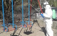Фото 76: Комунальні служби дезінфікують місто: миють вулиці, тротуари, зупинки транспорту, сходові клітки будинків