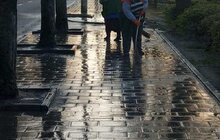 Фото 23: Комунальні служби Львова продовжують дезінфекцію міста