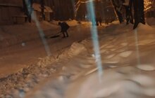 Фото 81: Вночі по Львову працювало 135 одиниць техніки
