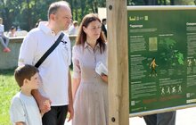 Фото 15: Військові - пацієнти центру НЕЗЛАМНІ теренкурили у Замарстинівському парку