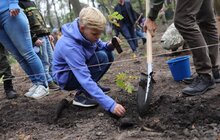 Фото 9: Сьогодні в одному із парків Львова висадили понад 400 дерев