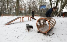 Фото 16: У Львові облаштували ще один тренувально-вигульний майданчик для собак