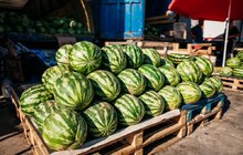 Фото 28: Міський голова Львова відвідав локальний фестиваль Street Food та відзначив підприємців ринку «Шувар» за вагомий внесок у розвиток малого бізнесу