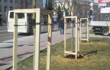 Фото 1: На вихідних у Львові висадили 73 дерева
