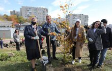 Фото 15: У Львові біля лікарні швидкої медичної допомоги висадили «Сад Здоров’я»