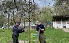 Фото 2: У дитсадку «Левомрій» висадили нові дерева та кущі